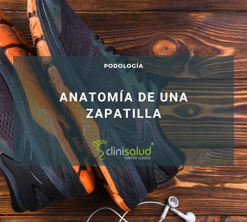 Anatomía de una zapatilla