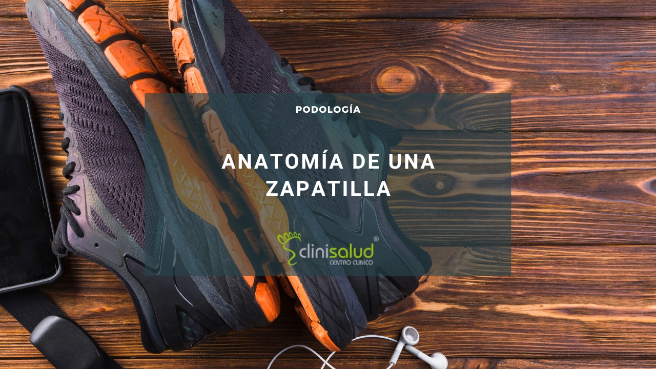 Anatomía de una zapatilla
