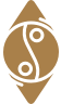 holistic healer icon 2